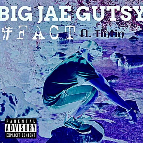 Fact ft. TinTin | Boomplay Music