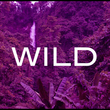 Wild | Boomplay Music