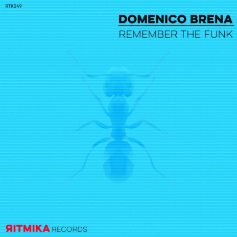 Remember The Funk (Original Mix) | Boomplay Music