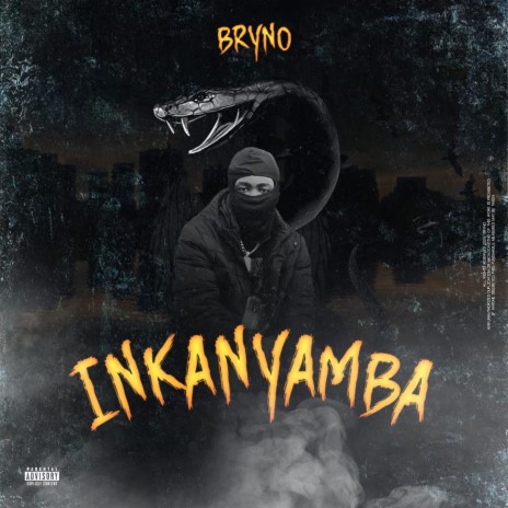 iNkanyamba | Boomplay Music