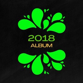 2018 Album