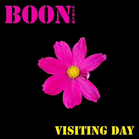 Visiting Day | Boomplay Music