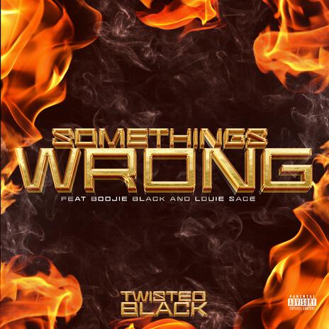 Somethings Wrong ft. Boojie Black & Louie Sace | Boomplay Music