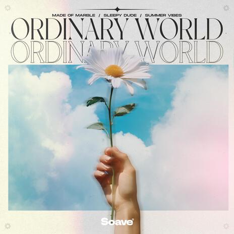 Ordinary World ft. sleepy dude & Summer Vibes | Boomplay Music