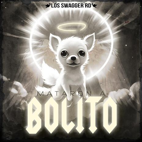 Mataron A Bolito | Boomplay Music