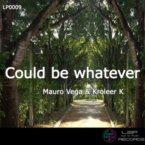 Could Be Whatever (Original Mix) ft. Kroleer K
