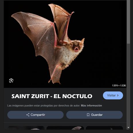 EL NOCTULO | Boomplay Music