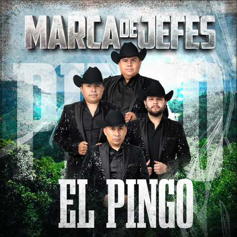 El Pingo | Boomplay Music