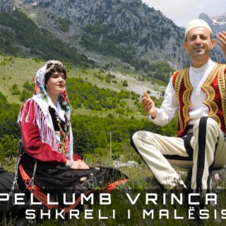 Shkreli i Malësisë