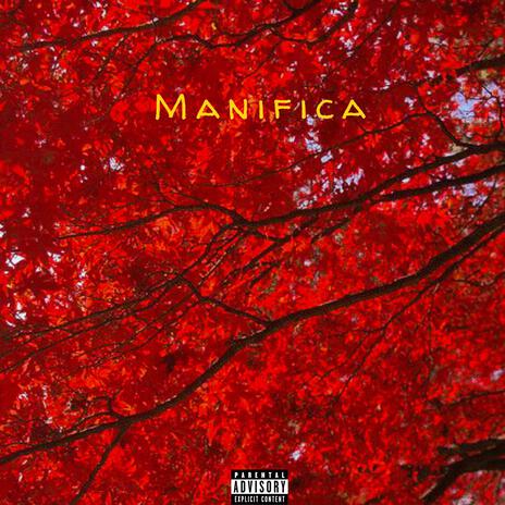 Manifica | Boomplay Music