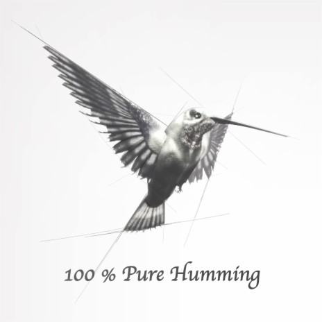 Hummingbird (Pure Humming Version) | Boomplay Music