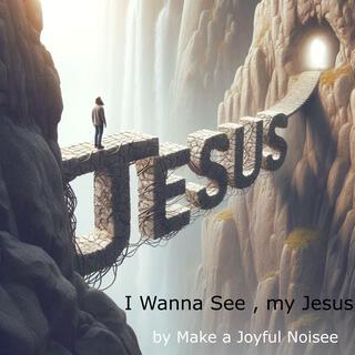 I Wanna See, my Jesus