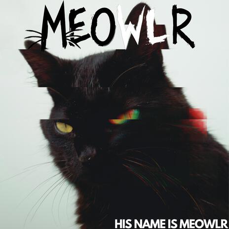 His Name Is Meowlr | Boomplay Music