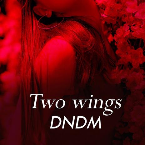 Two Wings | Boomplay Music