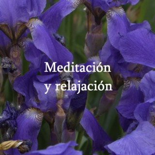 Meditación y relajación