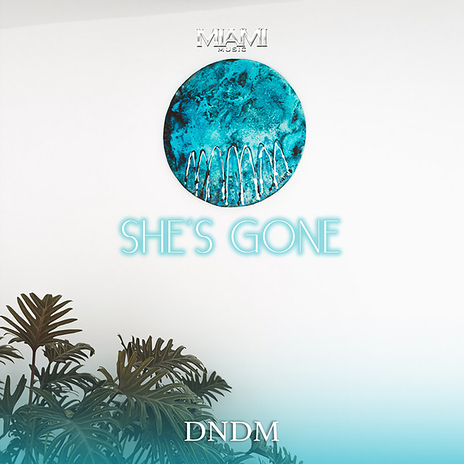 She's Gone | Boomplay Music