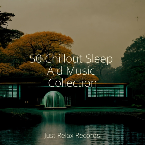 Stillness in Icy Silence ft. Dormir & Nature Sound Collection | Boomplay Music