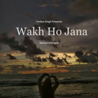 Wakh Ho Jana (Slowed & Reverb)