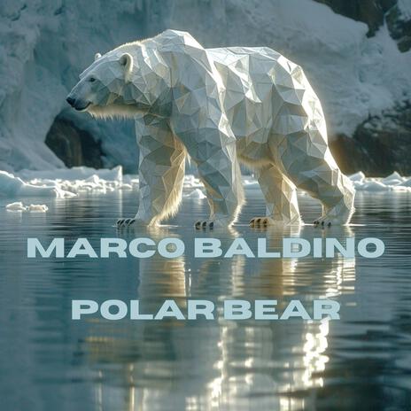 Polar Bear Radio (Radio) | Boomplay Music