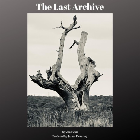 The Last Archive | Boomplay Music