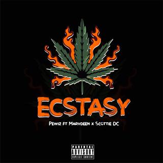 Ecstasy ft. Marvdeen & Scottie Dc lyrics | Boomplay Music