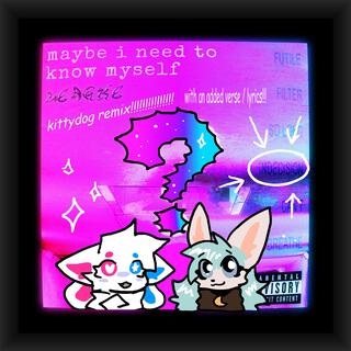 indecision (kittydog remix!!) ft. Kittydog lyrics | Boomplay Music