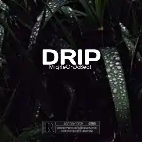 Drip Dancehall (Instrumental) | Boomplay Music