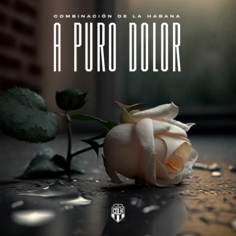 A Puro Dolor | Boomplay Music