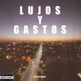 Lujos Y Gastos