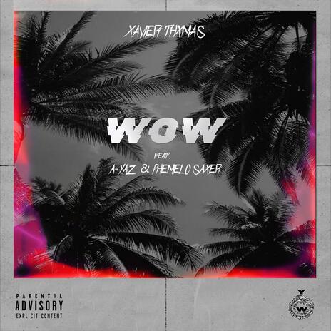 WOW! ft. A-Yaz & Phemelo Saxer | Boomplay Music