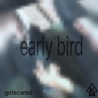 early bird