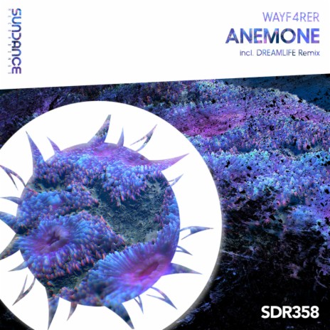Anemone (Original Mix) | Boomplay Music