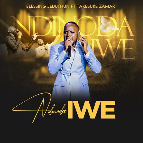 Ndinoda Iwe Live (Live) ft. Tk Zamar | Boomplay Music