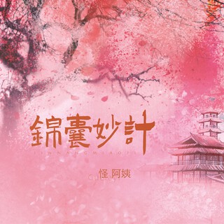 锦囊妙计（DJ小鑫版） lyrics | Boomplay Music