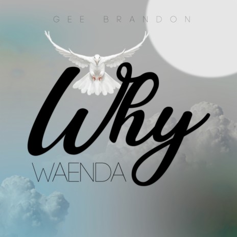 Why Waenda ft. G Brendon | Boomplay Music