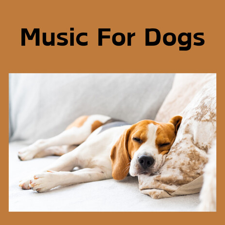 Bed Time Cuddles ft. Music For Dogs Peace, Relaxing Puppy Music & Calm Pets Music Academy | Boomplay Music