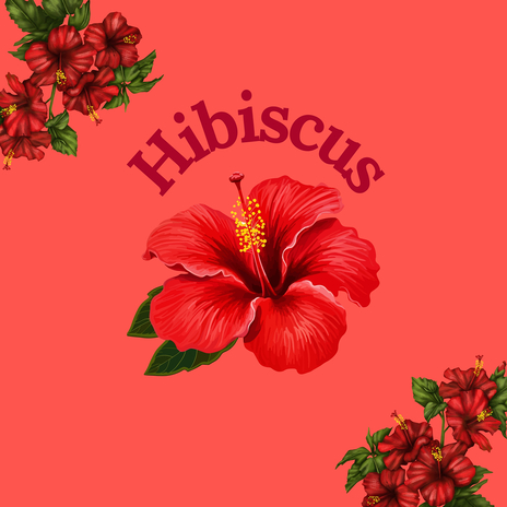 Hibiscus | Boomplay Music