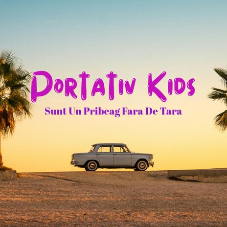 Sunt Un Pribeag Fara De Tara | Boomplay Music