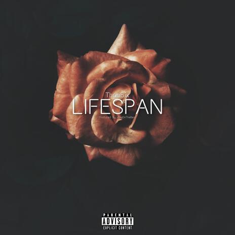 Lifespan | Boomplay Music