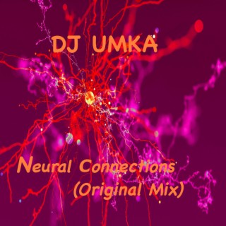 Neural Connections