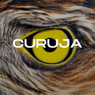 CURUJA