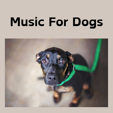 Puppy Therapy ft. Music For Dogs Peace, Relaxing Puppy Music & Calm Pets Music Academy | Boomplay Music