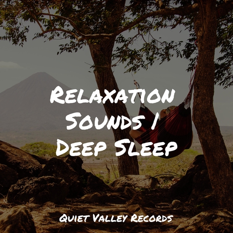 Sleepy ft. Pacific Rim Nature Sounds & Binaural Beats Brain Waves Isochronic Tones Brain Wave Entertainment | Boomplay Music