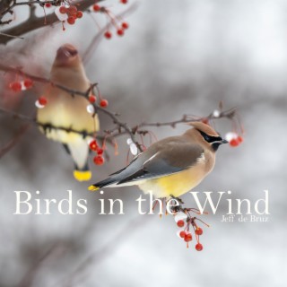 Birds in the Wind