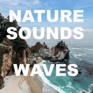 Nature Sounds Waves White Noise Relaxation