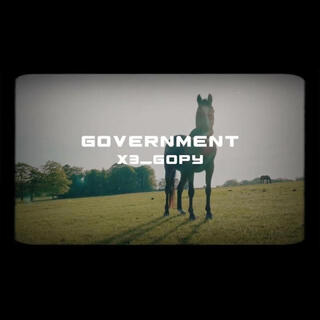 GOVERNMENT