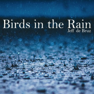 Birds in the Rain