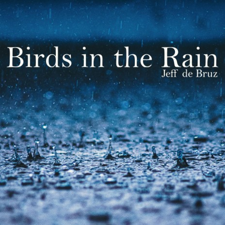 Birds in the Rain