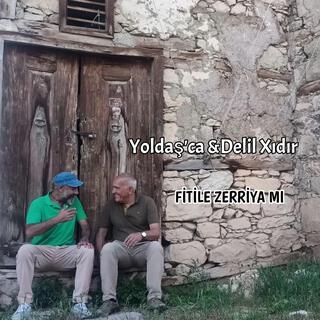 FİTİLE ZERİYA Mî