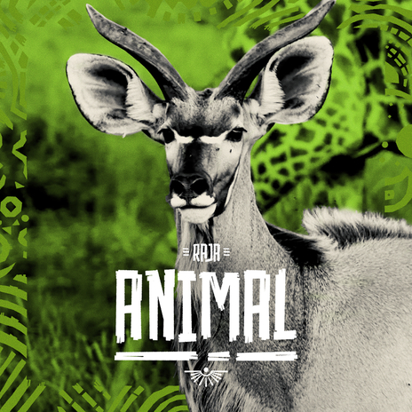 Animal | Boomplay Music